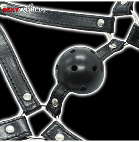Face Harness Gag Ball TOYZ4LOVERS