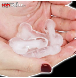 Pecker - Chocolate Ice Tray LOVETOY