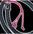 Scandal Bull Whip CALIFORNIA EXOTICS