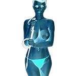 Whips-Paddles-Accessories