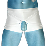 Boxers Shorts