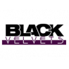 BLACK VELVETS